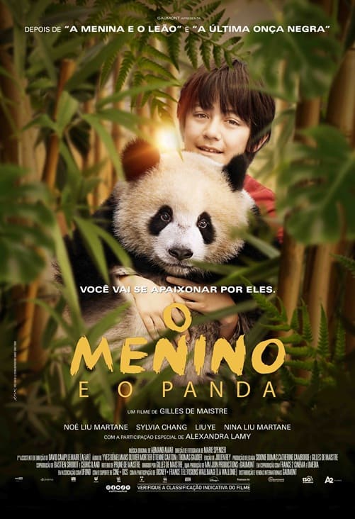 O Menino e o Panda