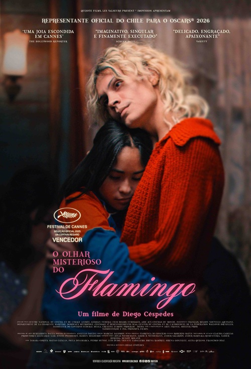O Olhar Misterioso do Flamingo